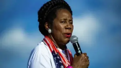 Photo of Sheila Jackson Lee Net Worth and Bio of Influential Lawmaker